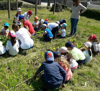 Actividad en el Huerto Infantil